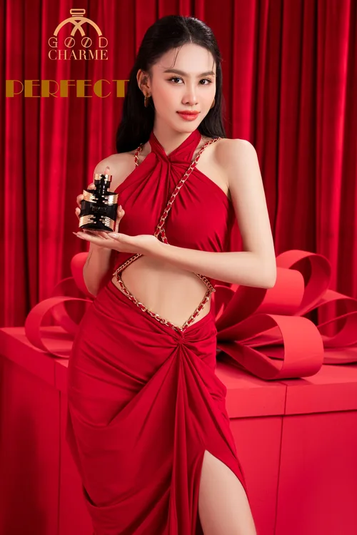 Nước Hoa Nam Charme Perfect 100ml