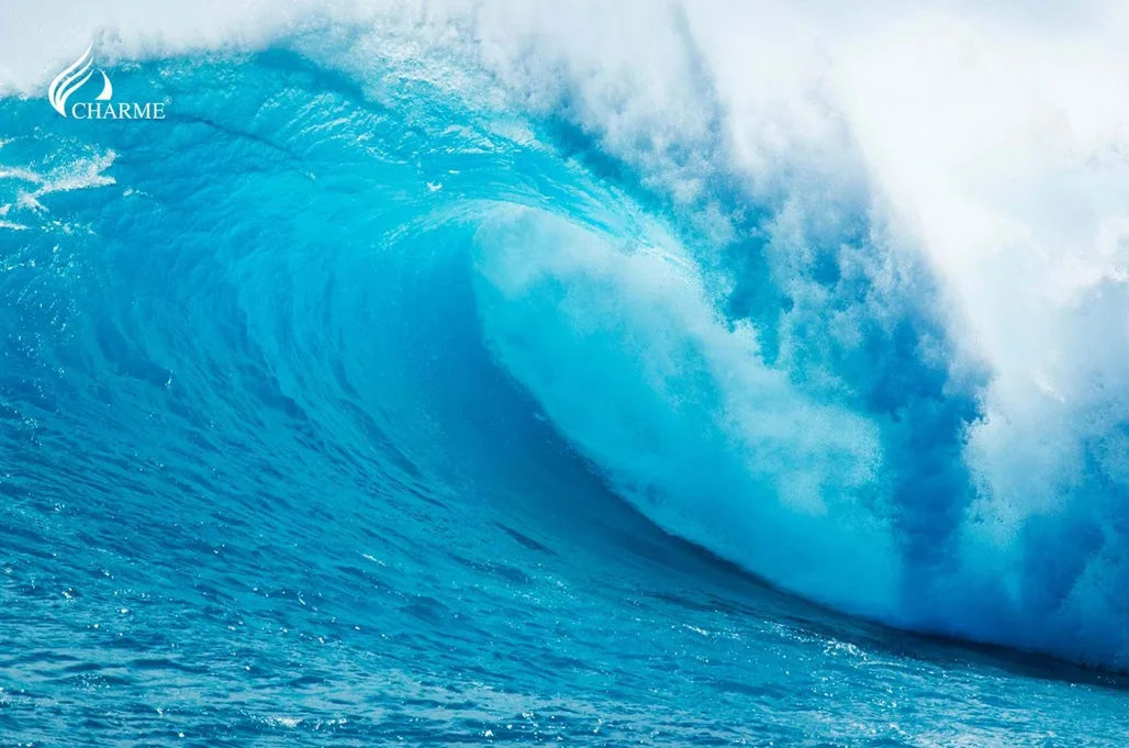 TOPLIST mùi hương cho Nữ được yêu thích nhất vào Mùa Hè 2021