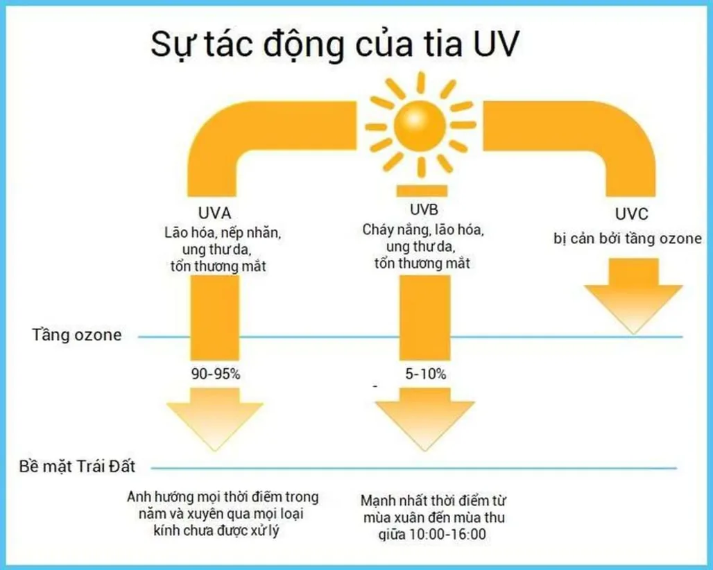 Tia UVA và UVB có mức độ xuyên thấu khác nhau nhưng đều gây ra nhiều tác hại cho làn da con người.