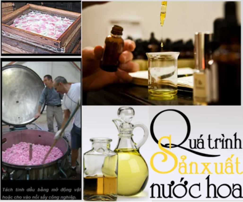 QUÁ TRÌNH SẢN XUẤT NƯỚC HOA CỦA CÁC HÀNG HIỆU NỔI TIẾNG